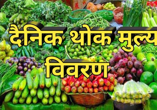 आज  तरकारी तथा फलफूलहरुको थोक मूल्य कति छ ? हेर्नुहोस